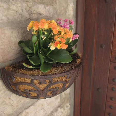 ベッド・アンド・ブレックファスト Vico Del Poeta 3*