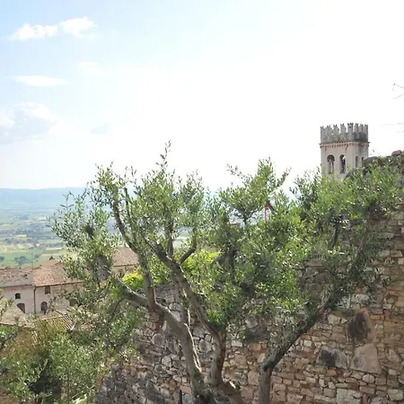 Vico Del Poeta Assise